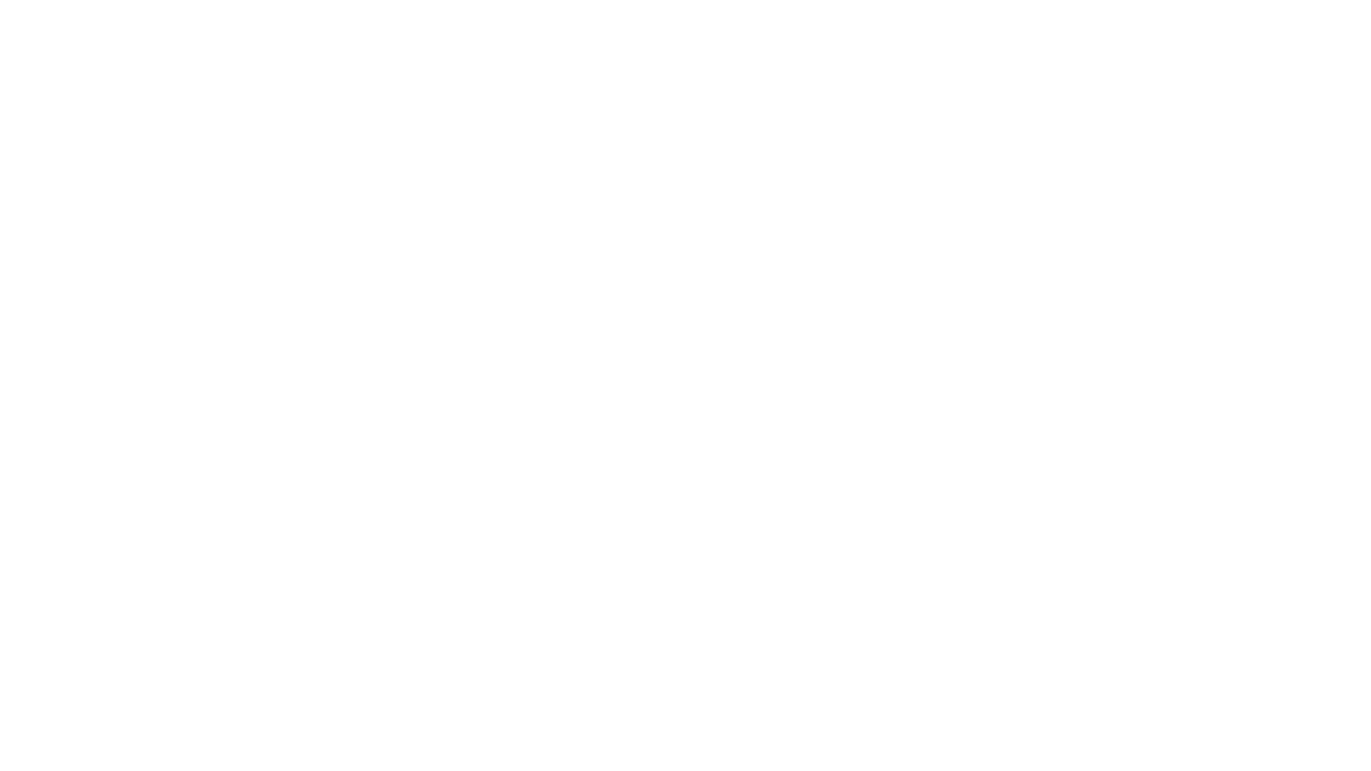 Logo Brunx